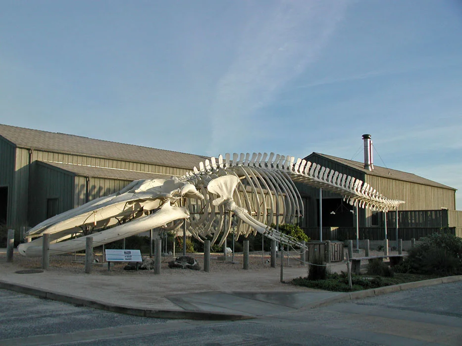 Client : University of California Location : Santa Cruz, CA Dates : 1997-ongoing Size : 40 acres Cost : SMDC - $8 million; COH - $11 million Client : Institute of Marine Sciences and Seymour Marine Discovery Center
