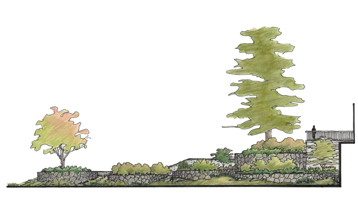 8-Viewing Garden Elevation.jpg