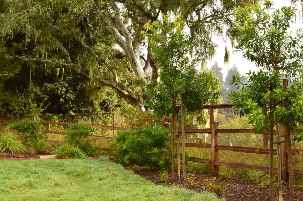 Client : MidPen Housing Location : Aptos, CA Dates : 2010-2014 Size : 2.2 acres Cost : $22 million Architect : Hunt Hale Jones Architects Civil Engineer : Ifland Engineers Contractor : Kent Construction Landscape Contractor : Landscape Innovation, Inc.