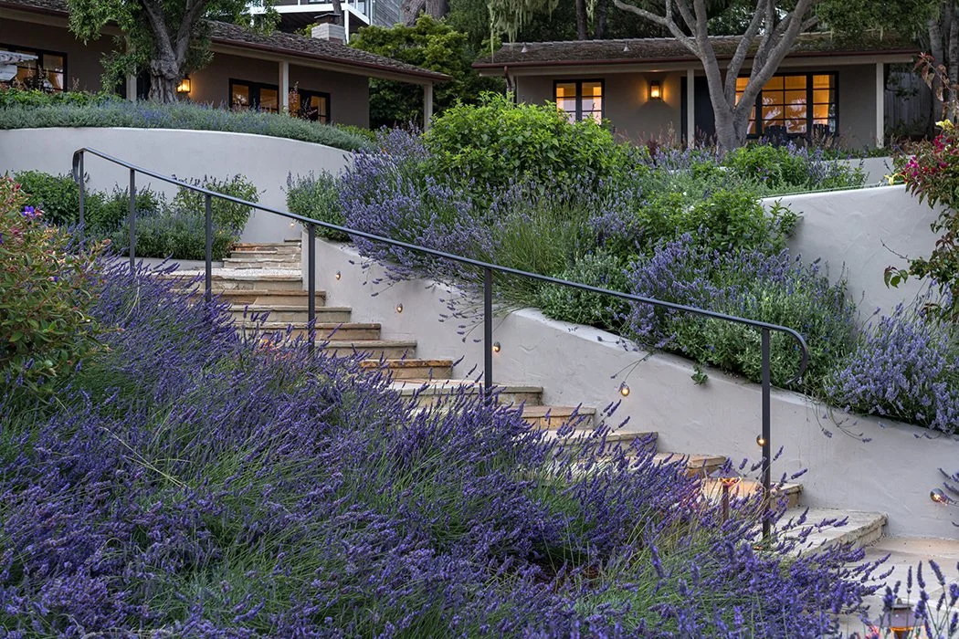   Pebble Beach 04  / The renovation of this 1960’s-era home involved selective editing, incisive additions, and strategic screening throughout the landscape to create a family refuge.&nbsp; The restored oak woodland at the entrance brings drama to th
