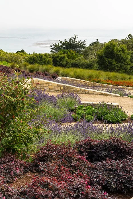  Photography by  Adam Potts  