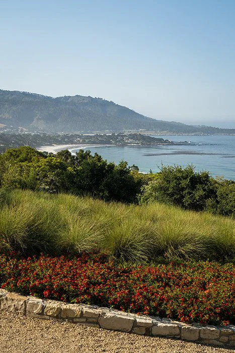  Photography by  Adam Potts  