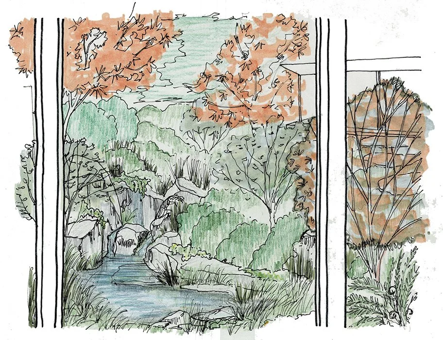  Sketch of view through windows out to the landscape - little seep and pond 