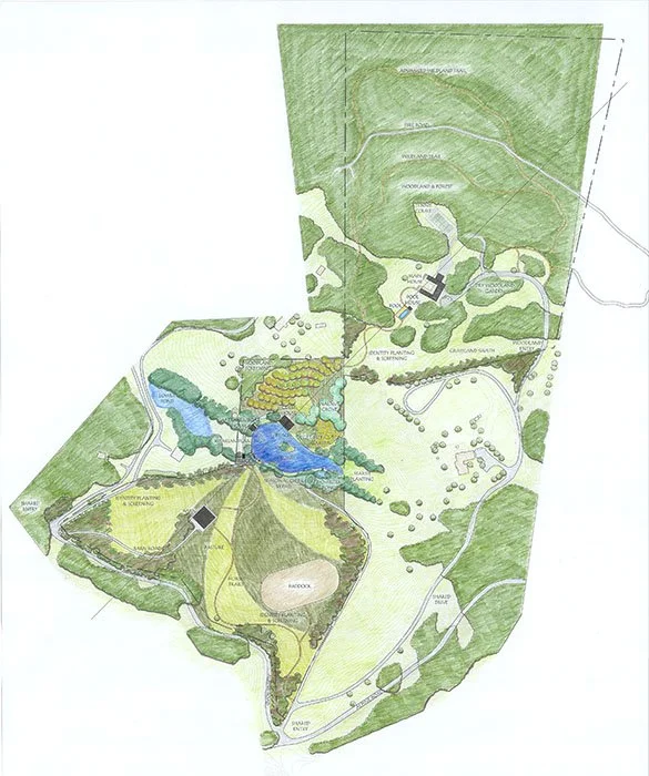 6-Buffalo Valley _MP_plan view.jpg