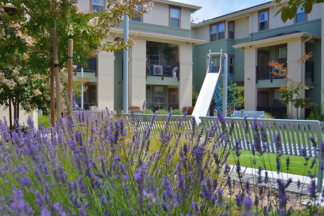   Bienestar Plaza Housing /  This affordable housing project was the second phase of a larger adjacent project consisting of a new medical center and dental clinic. Completed in 2024, the housing consists of four 3-story residential buildings contain