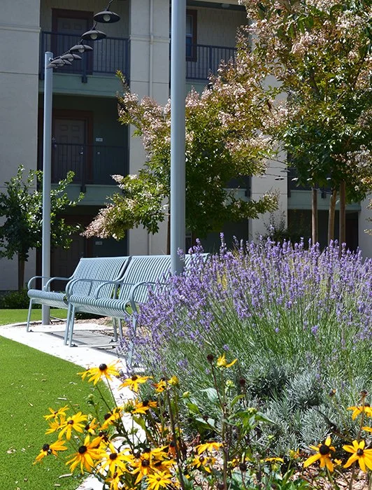   Client:    MidPen Housing   Location:   Live Oak, CA  Dates:   2018-2024  Size:   2.36 acres  Cost:   $47M for both Medical and Housing   Developer :   MidPen Housing   Architect:    Wald Ruhnke &amp; Dost Architects   Construction Manager :   Blue