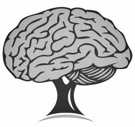 Brain Company original.jpeg