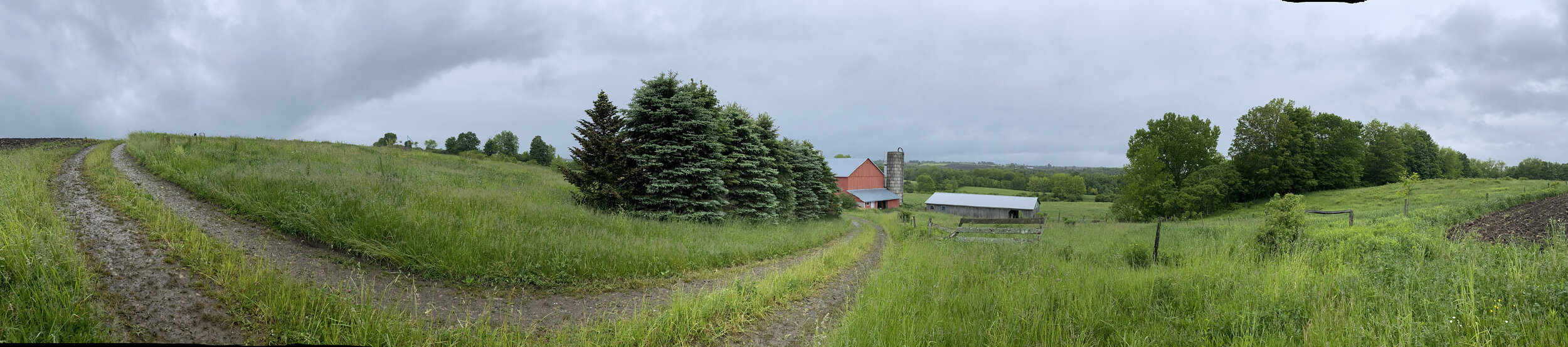 FemDom Farm — Domina Dia Dynasty