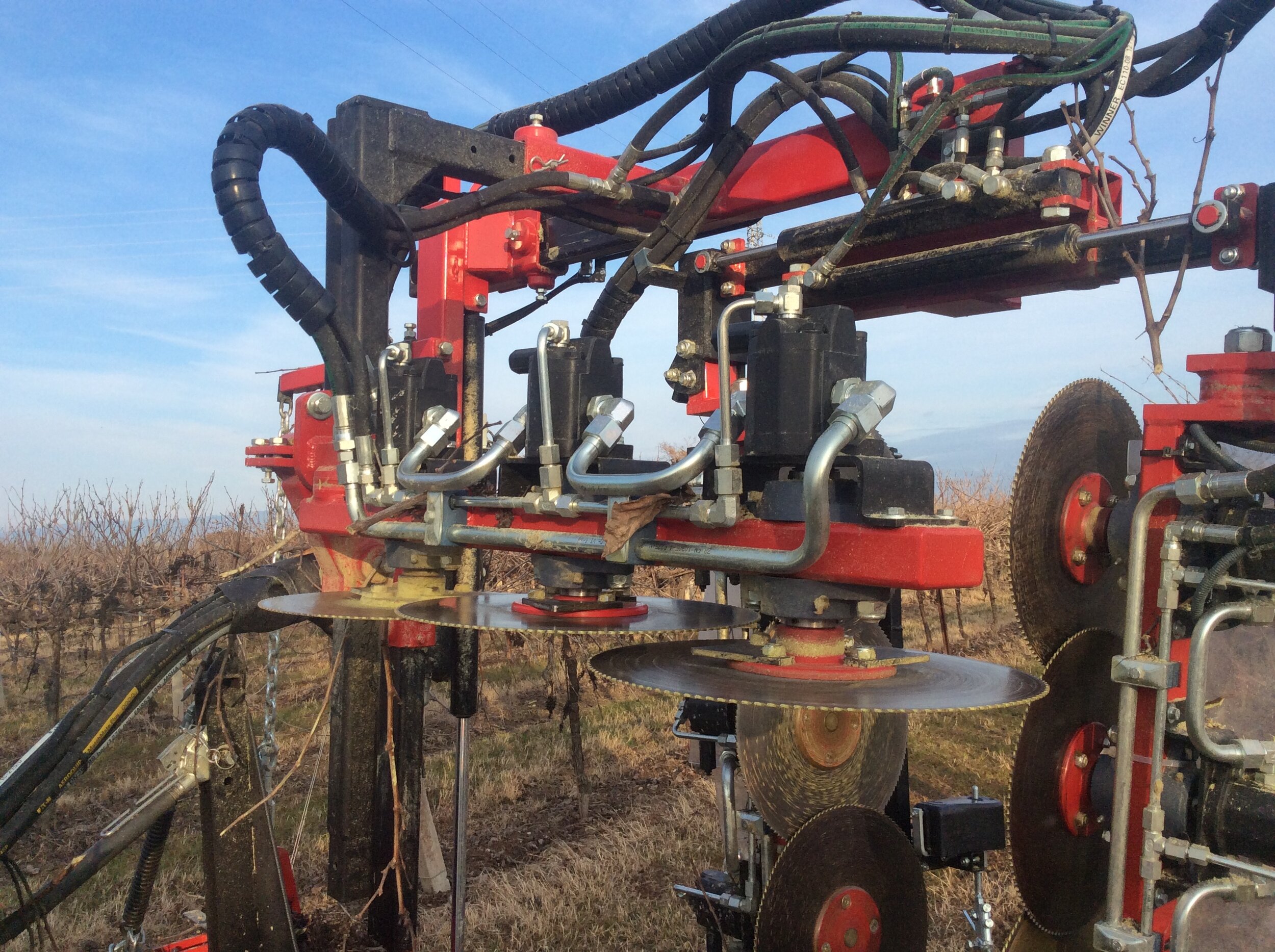 Vineyard Box Pruner with Saw Blades