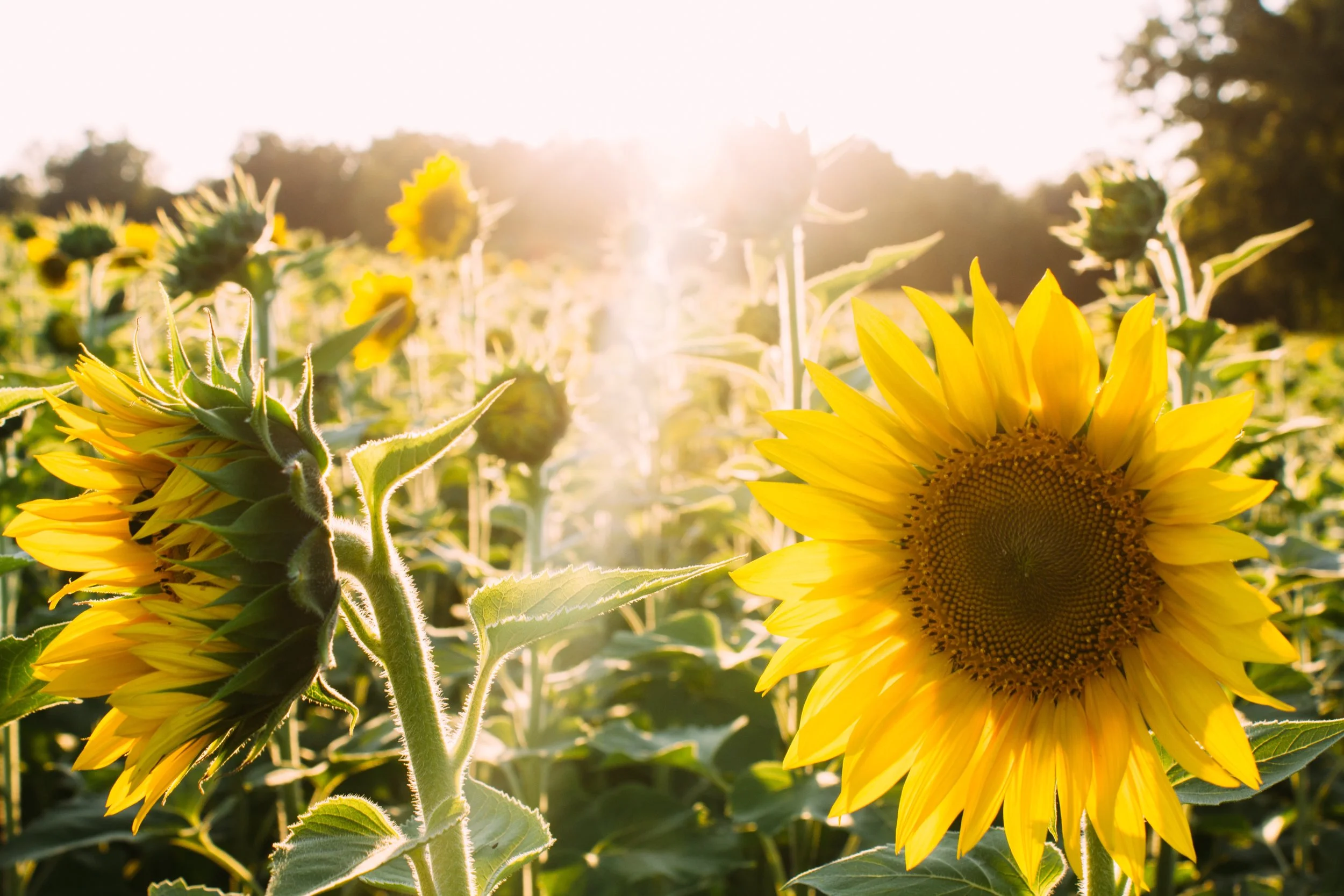 Photo: elijah-hail/unsplash