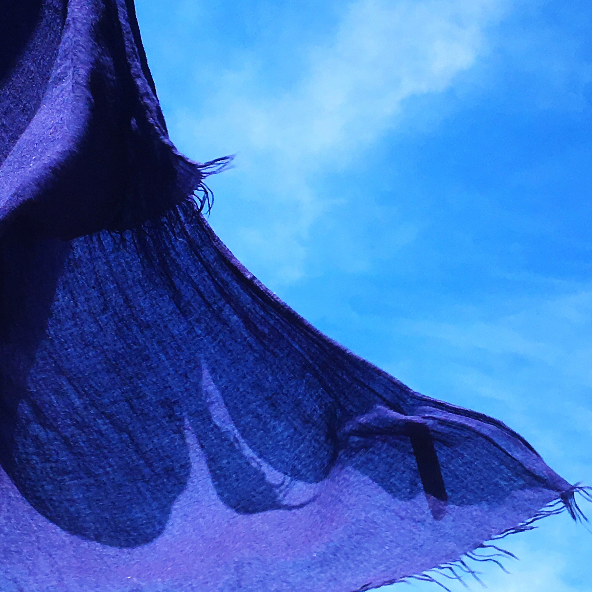 BLUE SCARF IN WIND SS.jpg