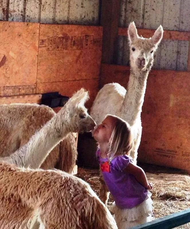 Paca kisses.jpg