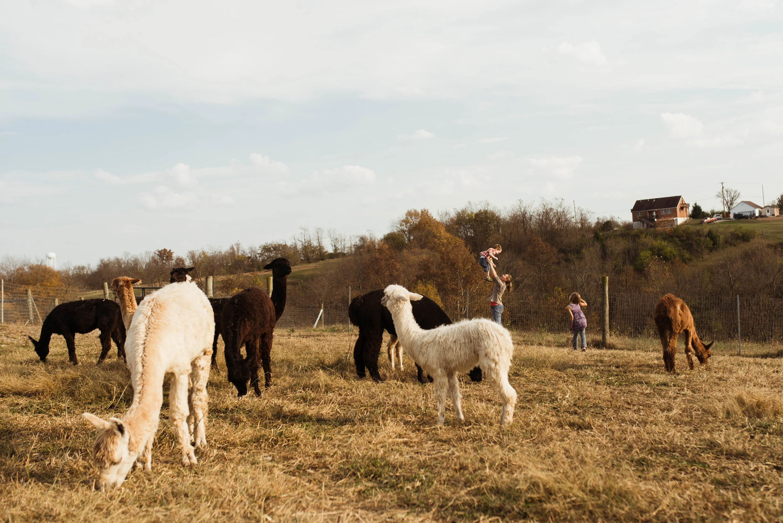 alvina aidyn and sean behind alpacas.jpg