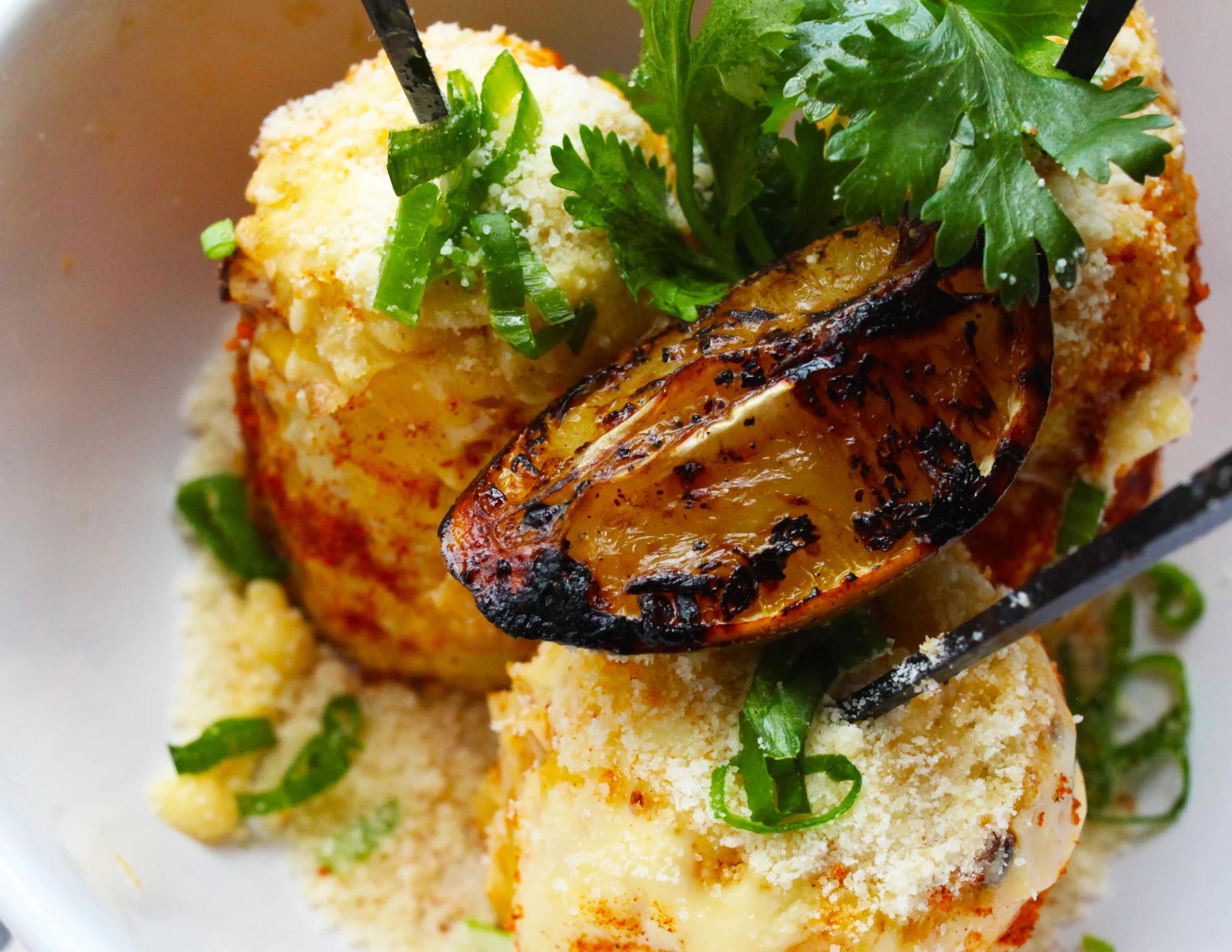 corn5 Tanya blum.jpg