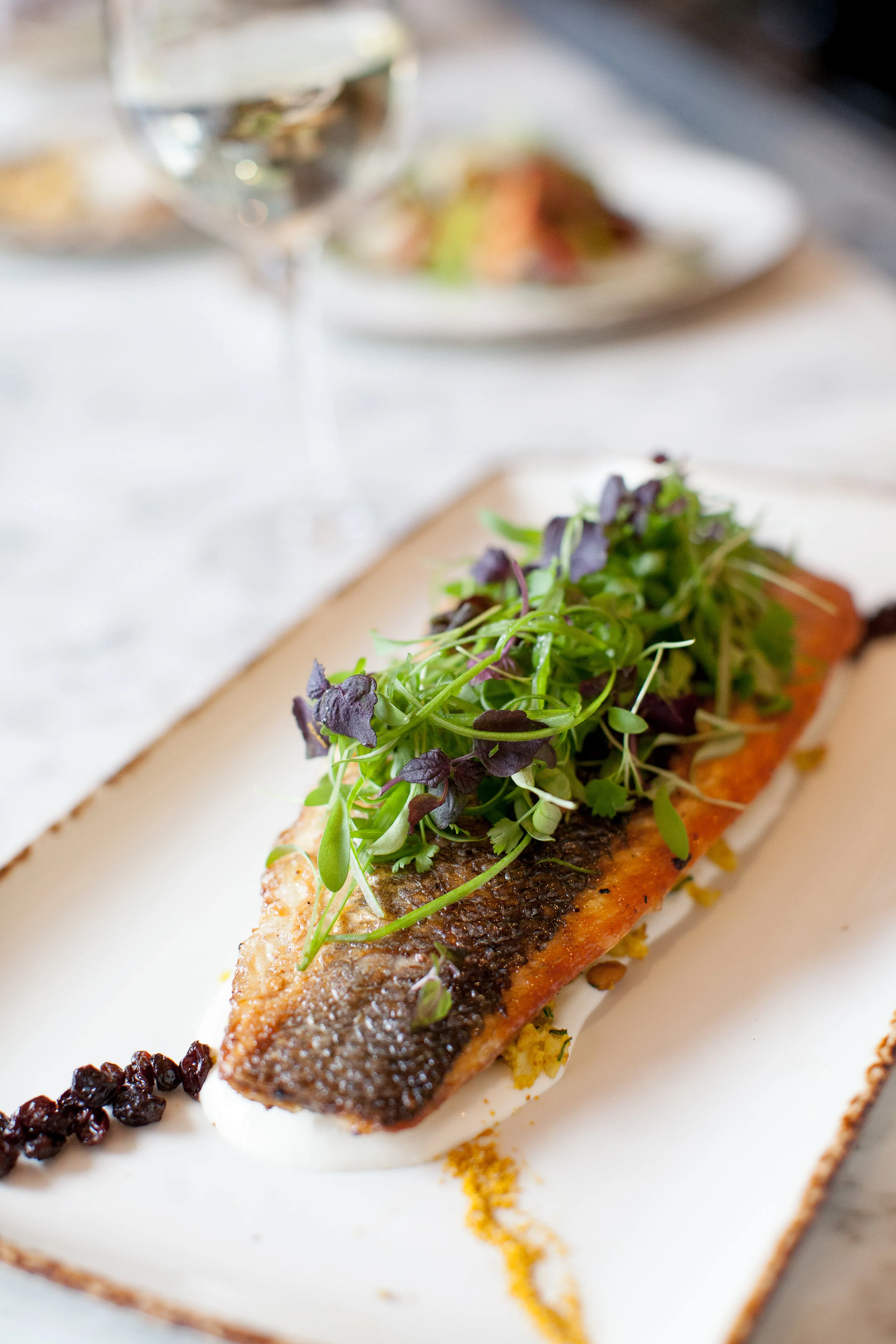 2019_ tanya blum_portfolio review-3423.jpg