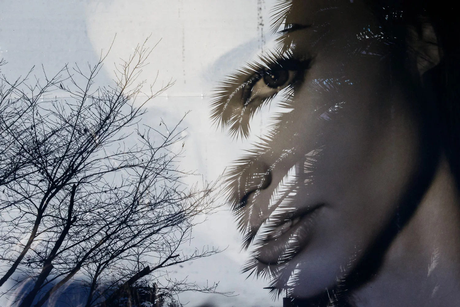 Reflection on a city The image of a model in a window display is reflected in glass of an apparel store on Jan. 20, 2015, in San Francisco.