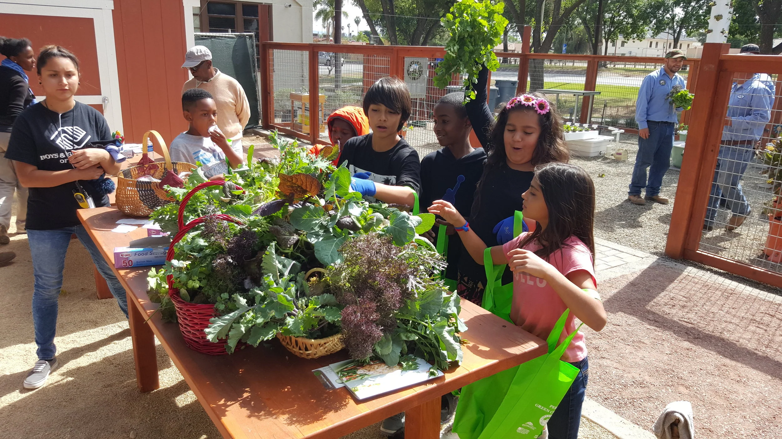 Perris Community Garden.jpg