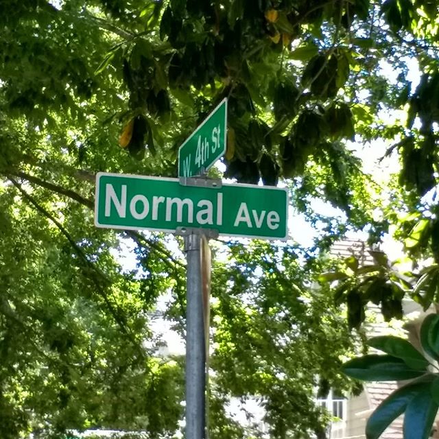 If you ever find yourself on this road for too long take a detour. #normal