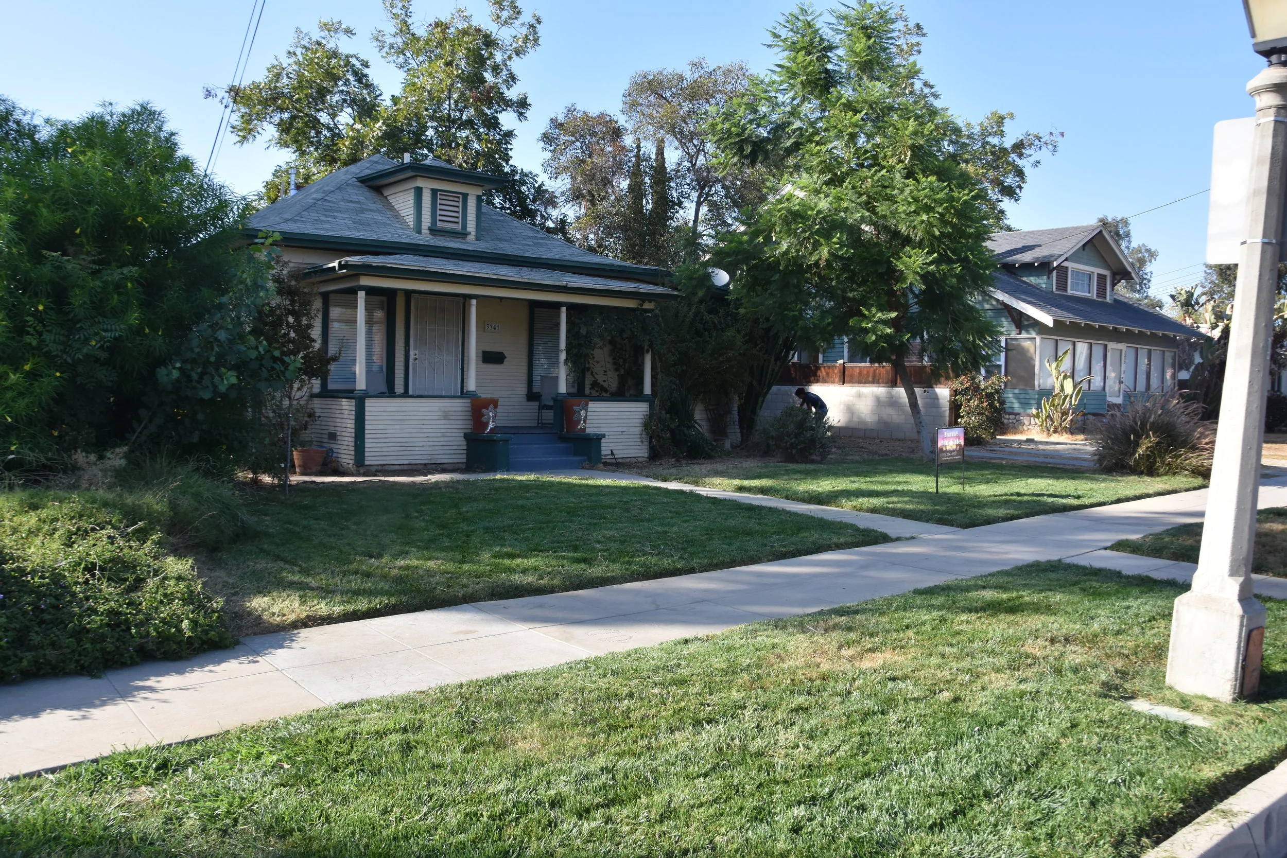 3Front yard.JPG