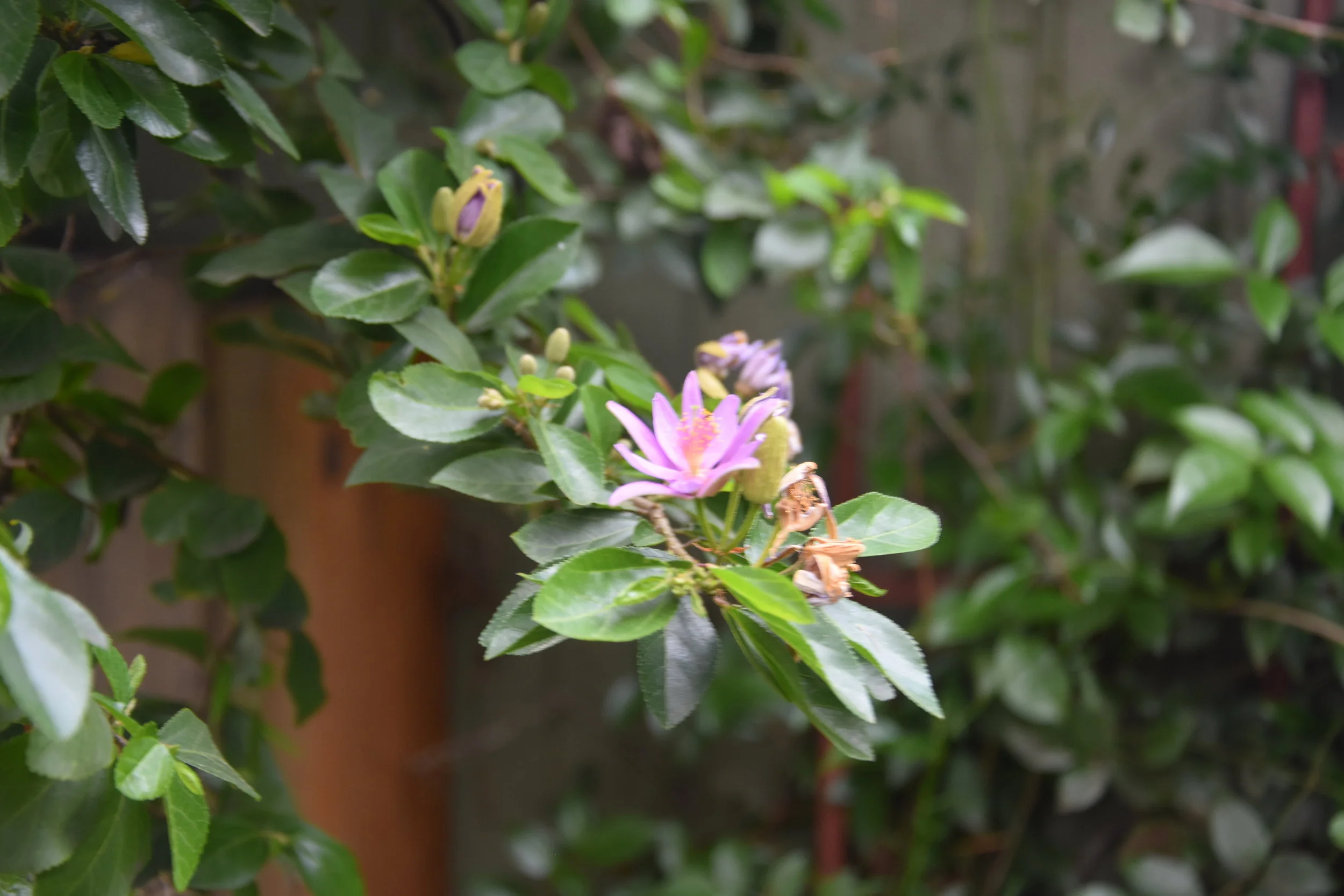 DSC_3228.JPG