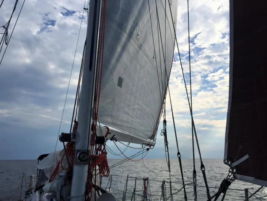 In low light, the white sails still shine while the tanbark sails appear black