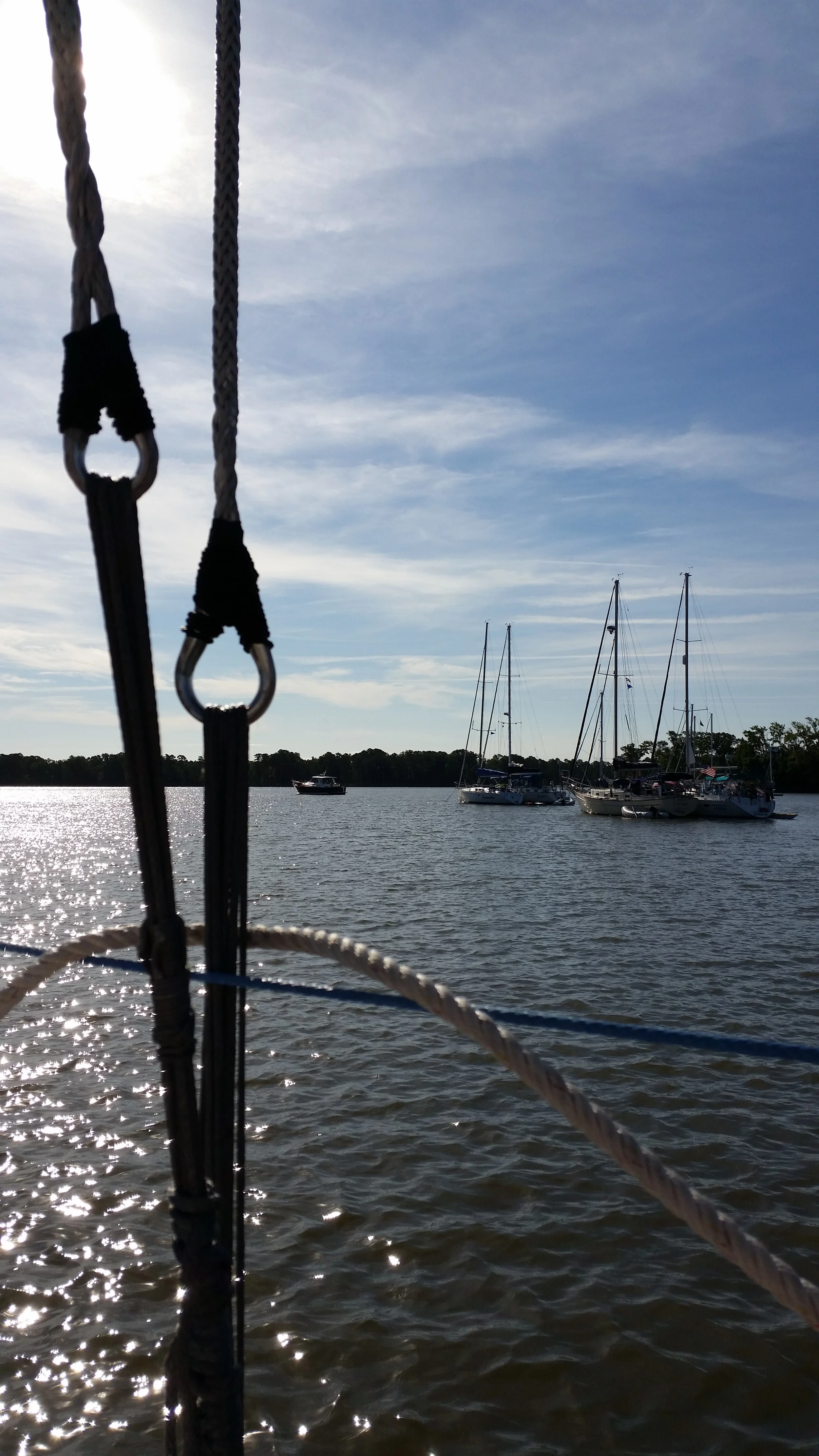 The Best Material for Synthetic Standing Rigging — Rigging Doctor