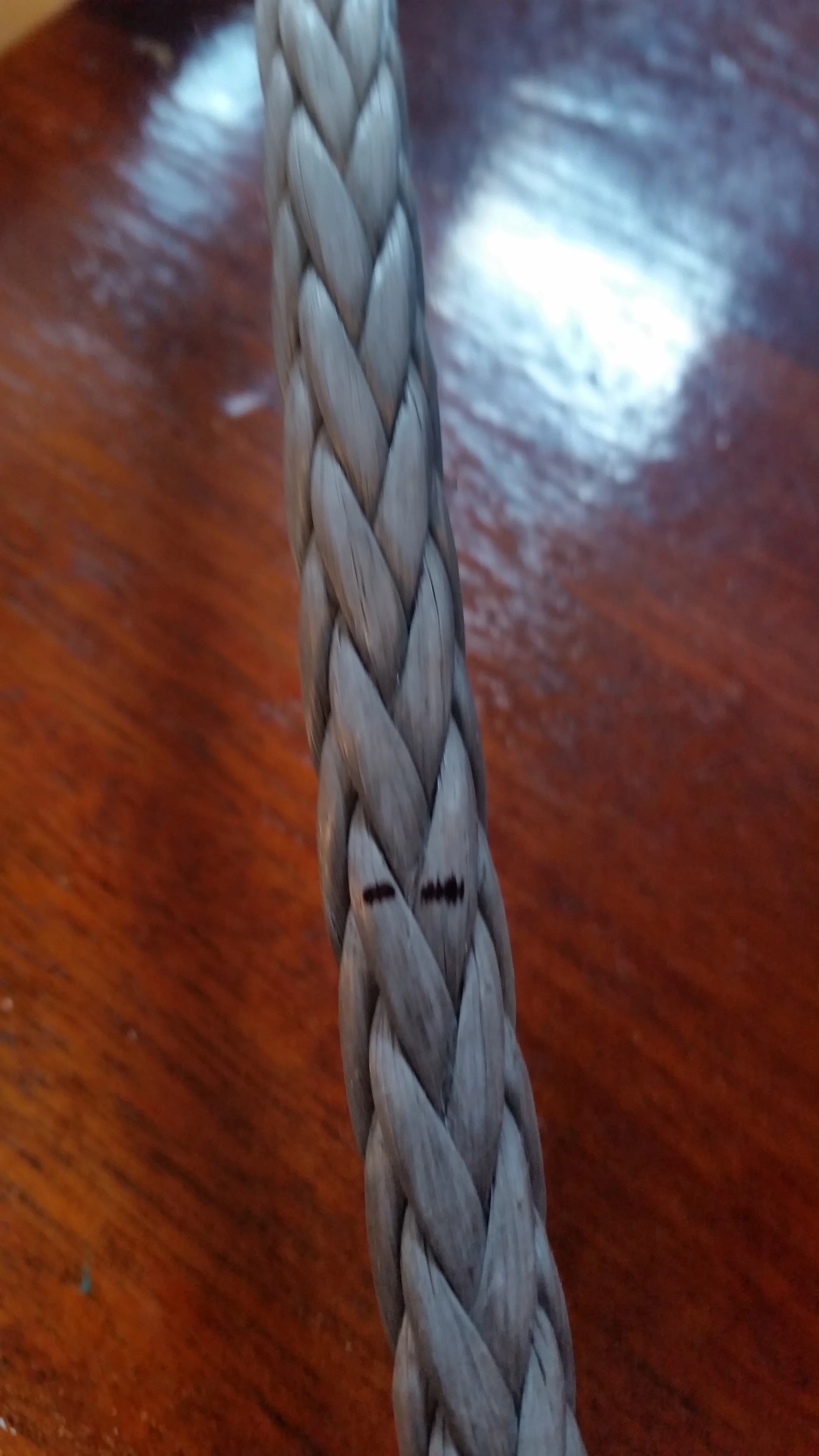 20160326_152655.jpg