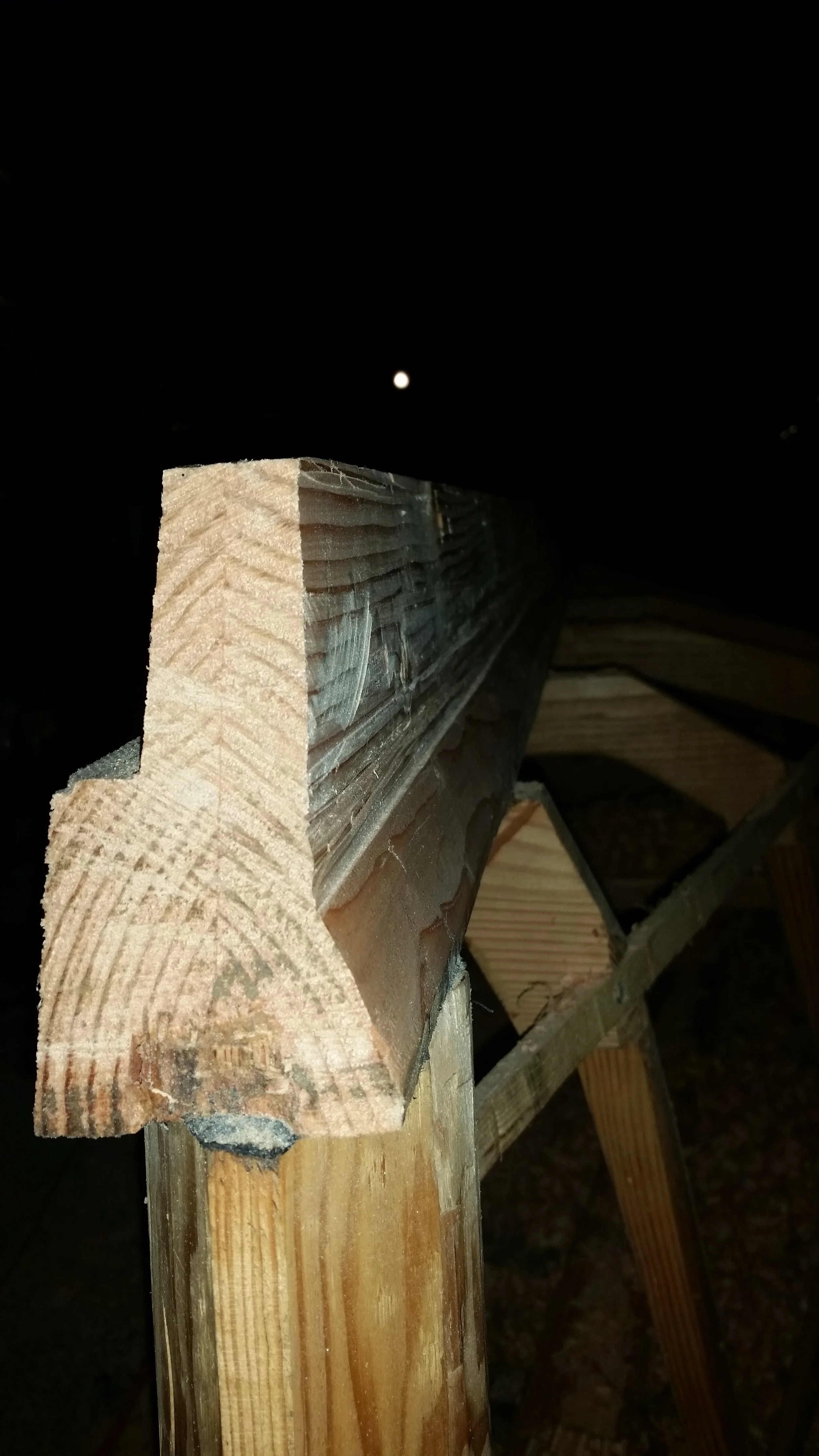 FullSizeRender.jpg