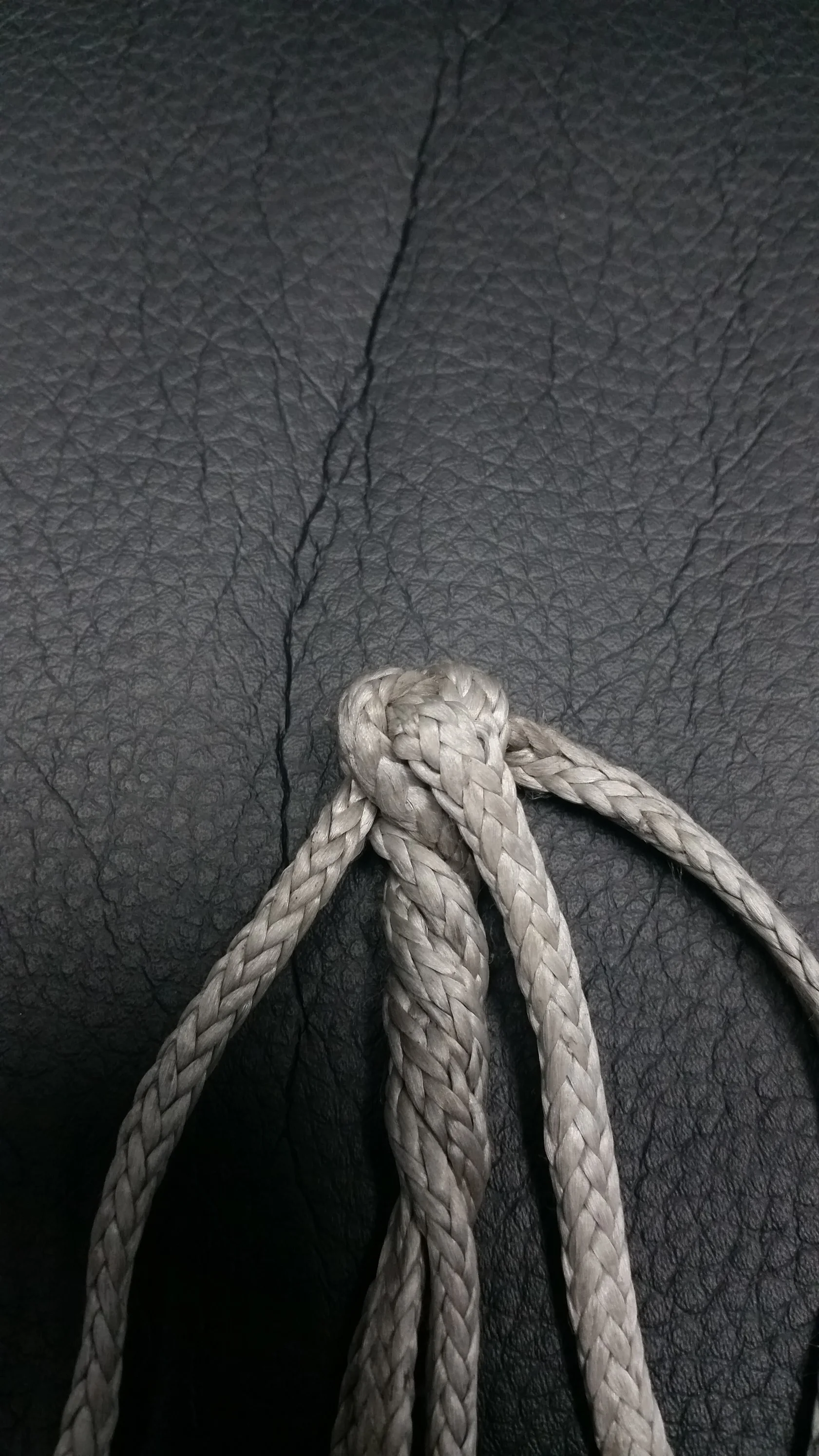 Crown Knot