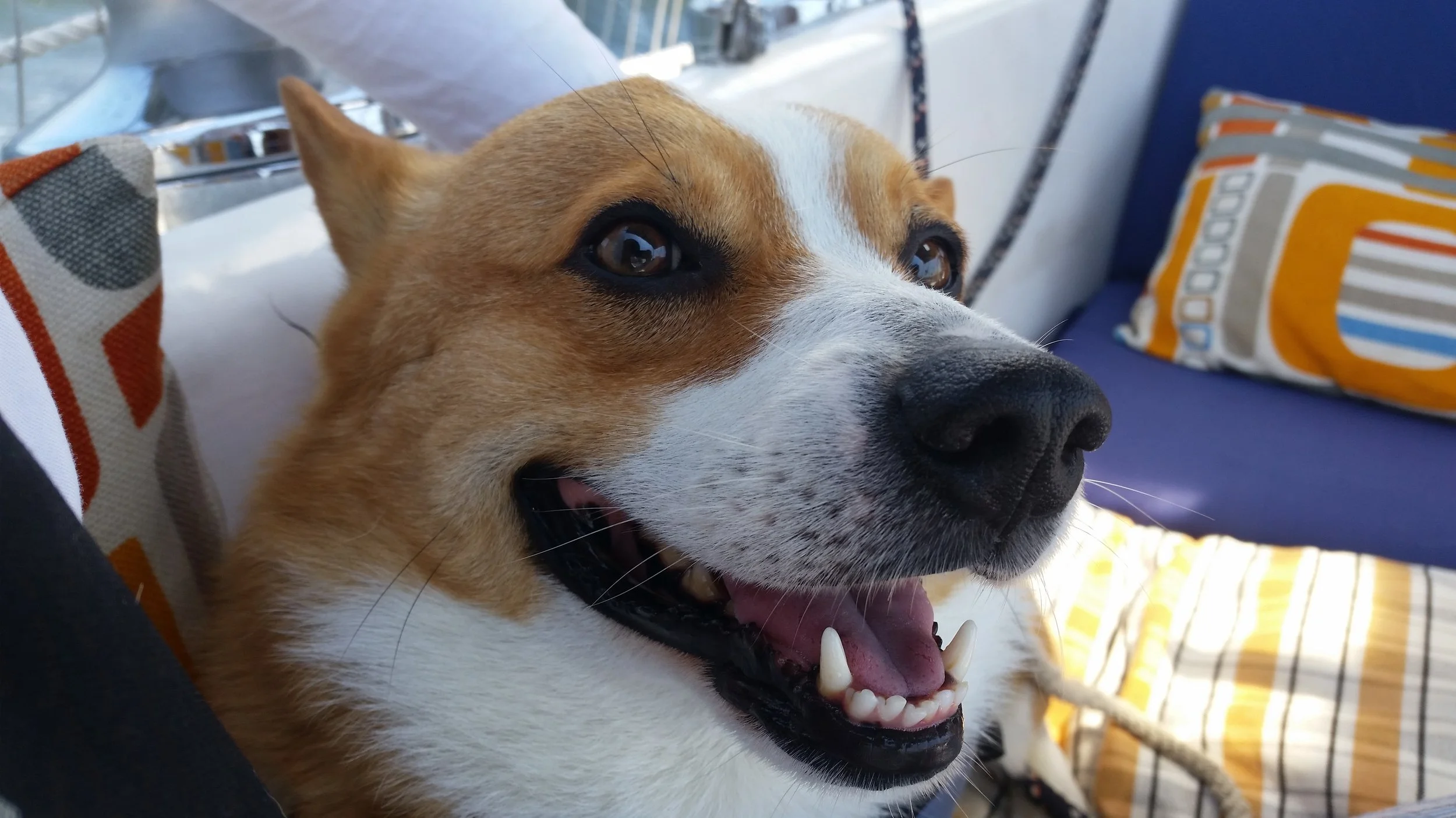 20160627_115925.jpg
