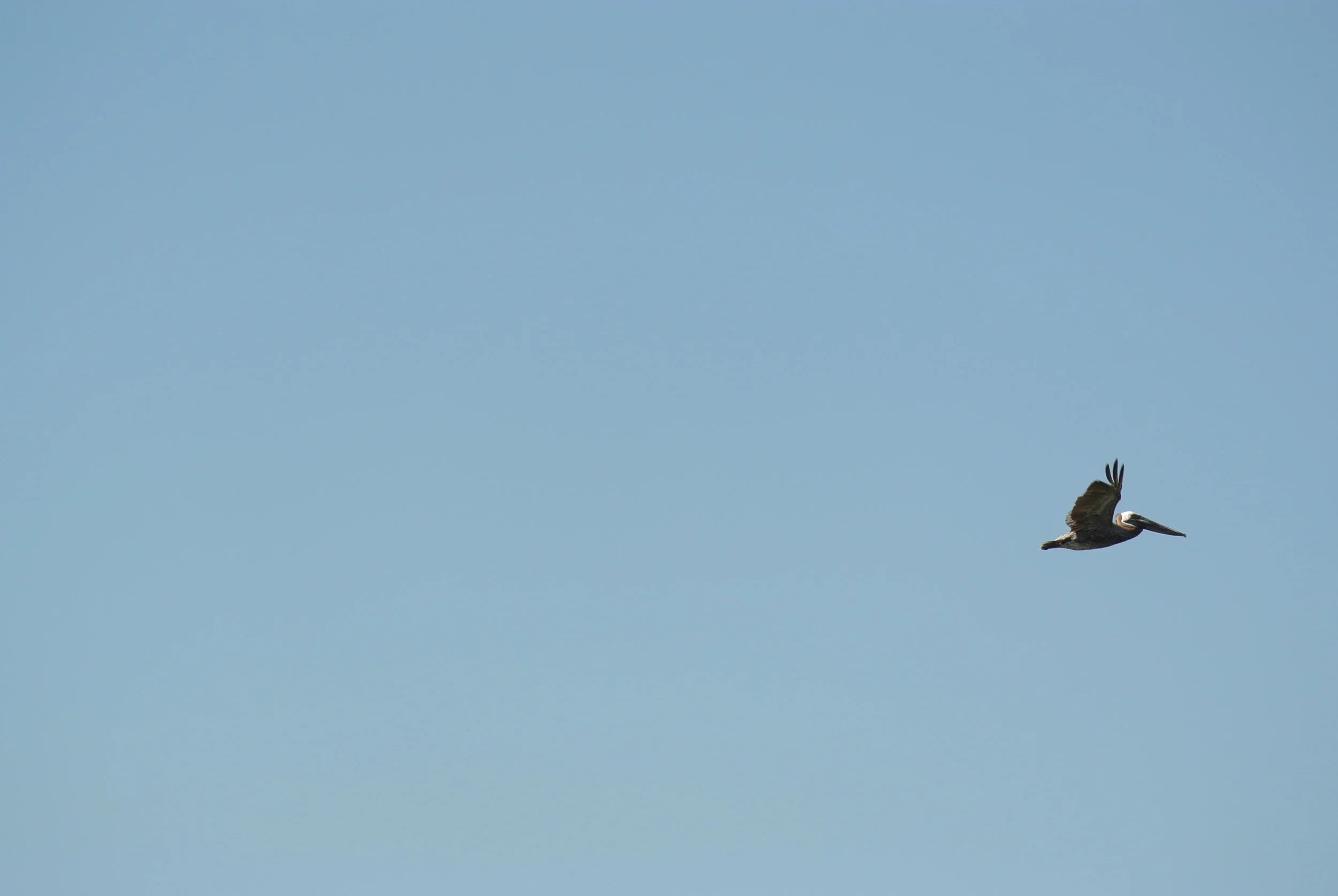 DSC_3206.JPG