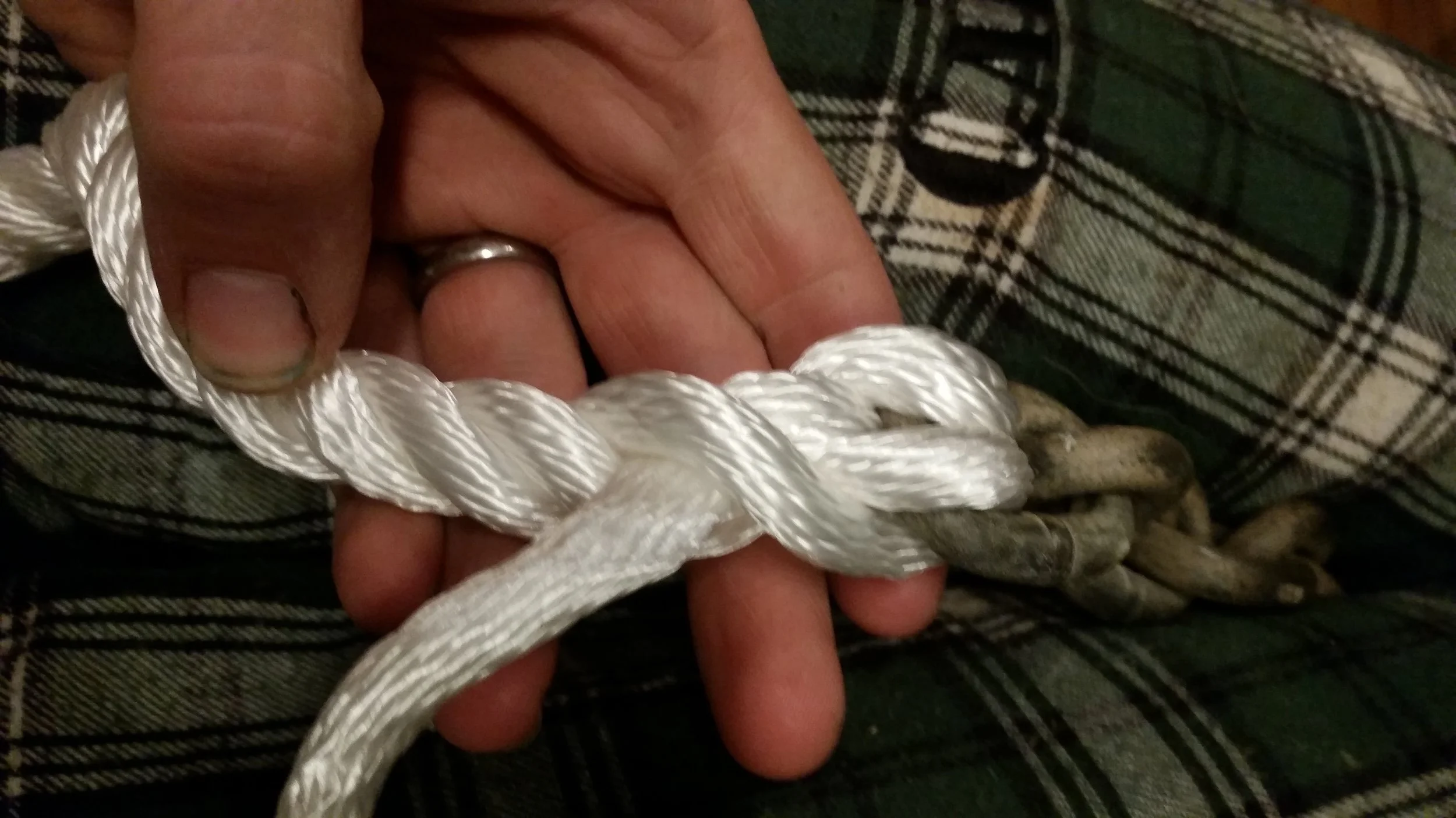 FullSizeRender.jpg