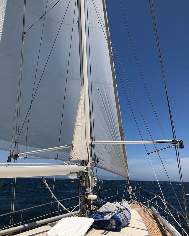 We are passengers/crew on an Amel for a few weeks! So good to be out at sea again with the wind in the sails 😊⛵️