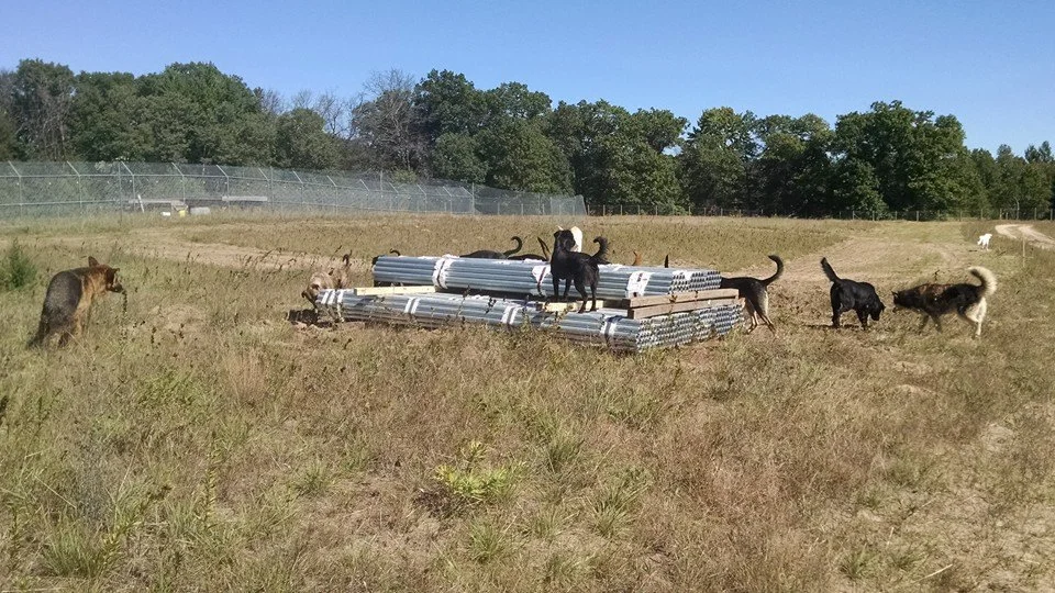 The first shipment of fencing posts was exciting for everyone!