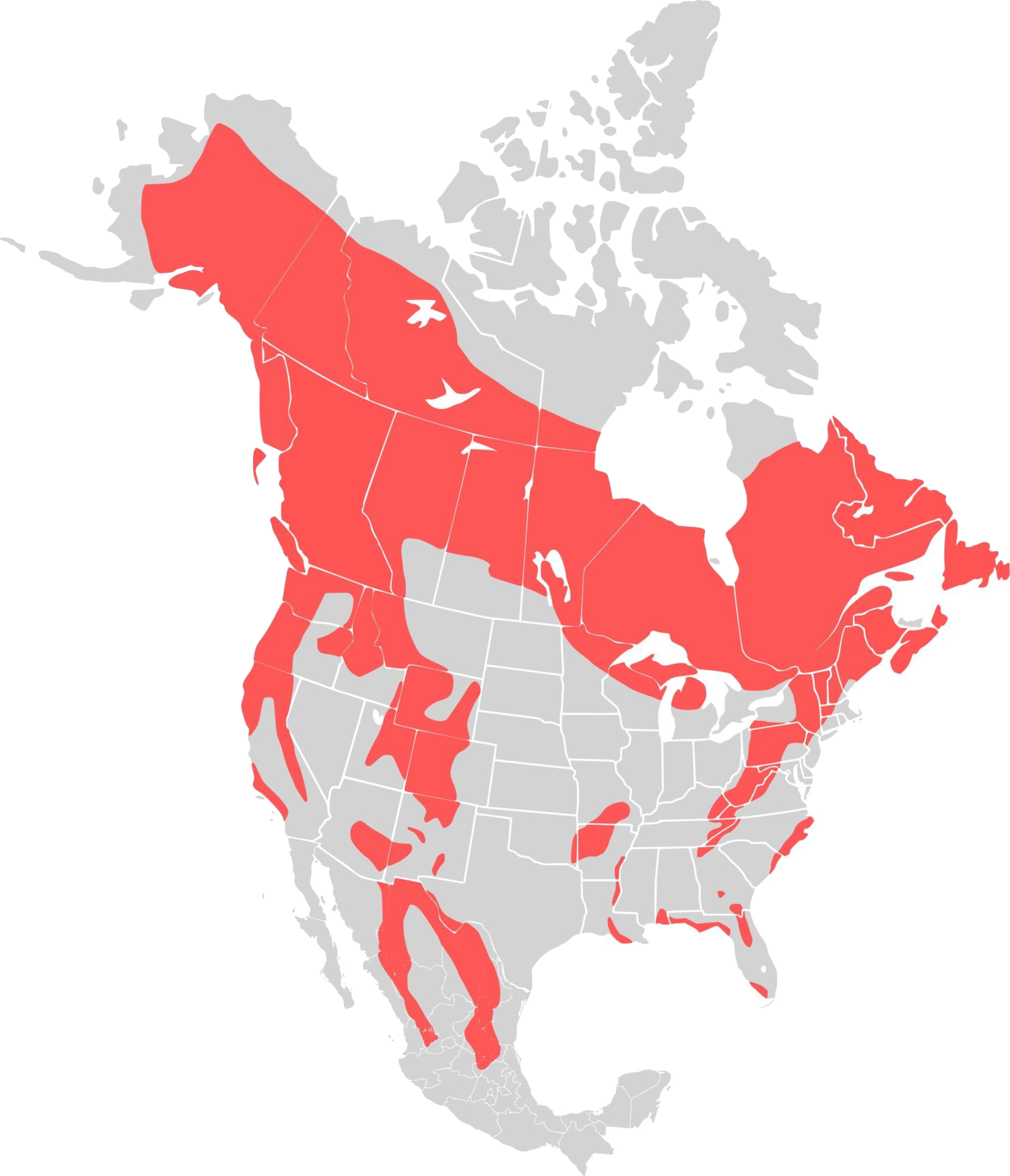 Black Bear Habitat Map
