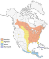 Broadwig Hawk Broad-Winged Hawk — Wildlife Science Center