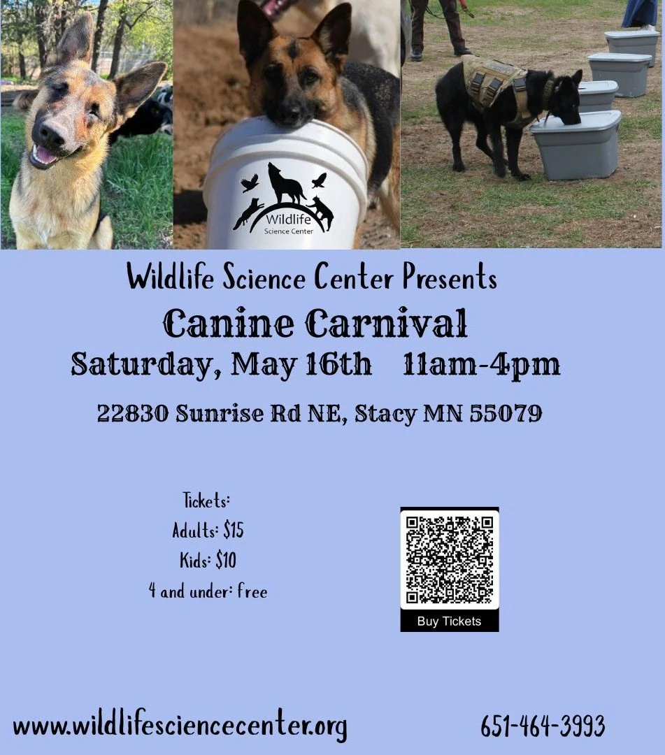 Canine Carnival