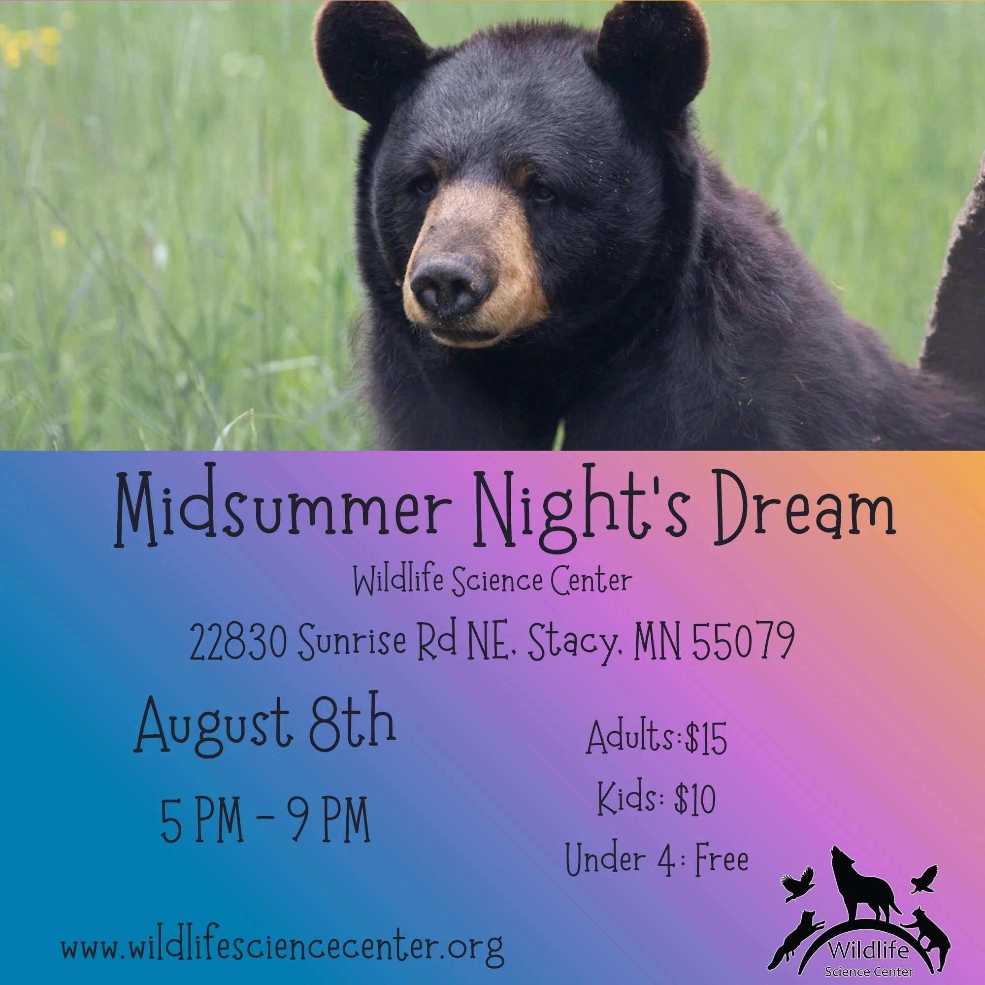 Midsummer Night's Dream   