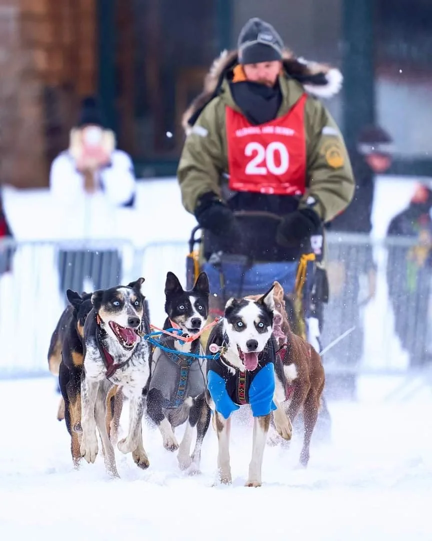 Ultimate Dogsled Experience- February 14th 2026 — Wildlife Science