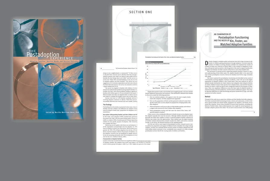  CLIENT: CWLA &nbsp;• &nbsp;TYPE: 7x10, 2/c cover, b&amp;w, book (412 pgs) USE: Grant published trade book for social workers 