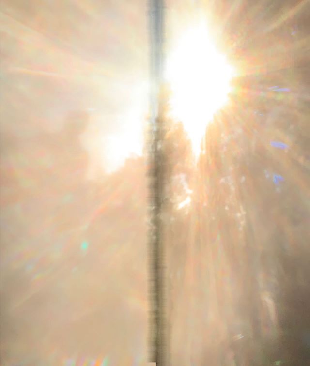 Lions gate 8.8. When this alignment happens, there is an intense surge of light which awakens DNA, activates the human energy field, and transmits high vibrational frequencies and codes of awakening. #lionsgateportal