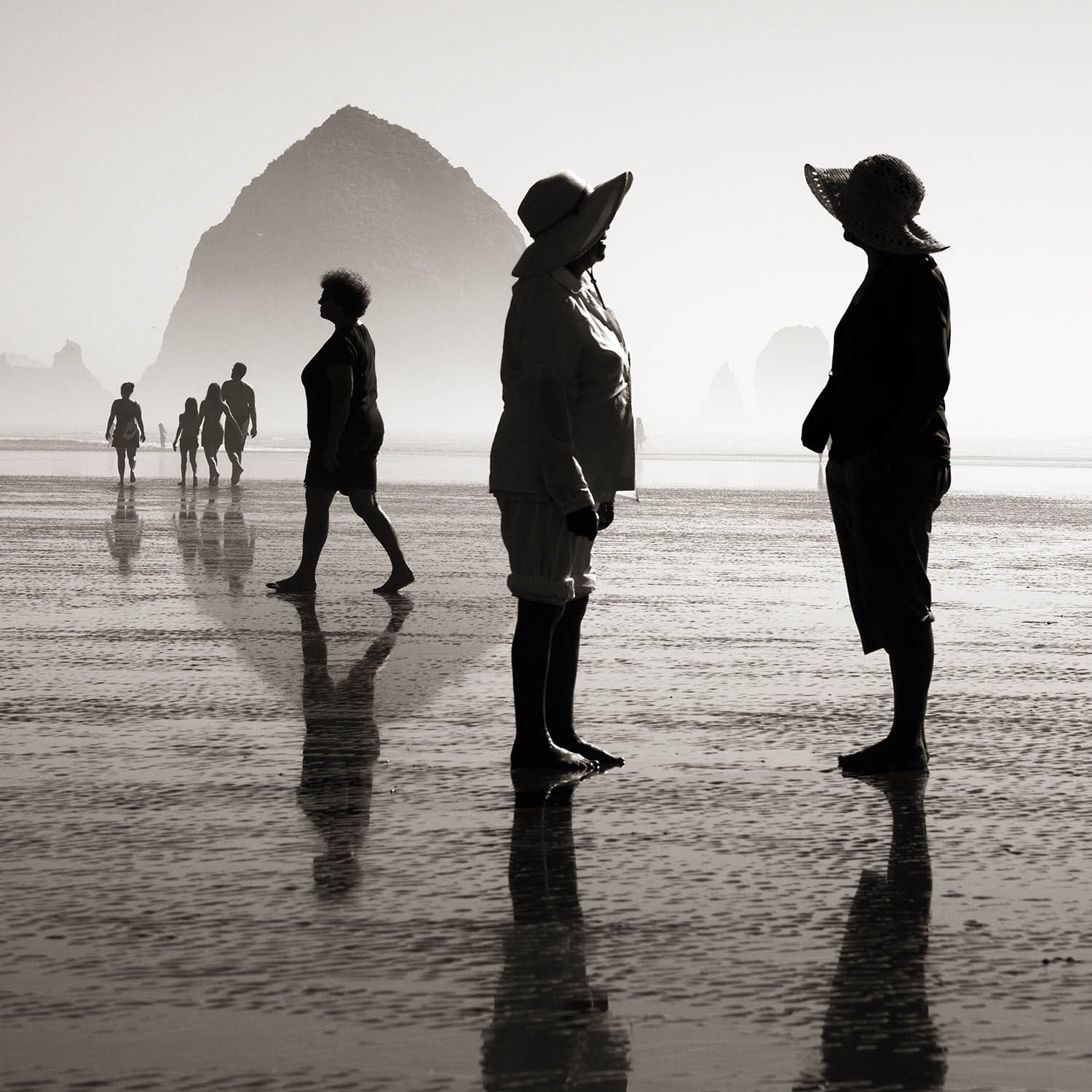 A Walk Along the Beach.jpg