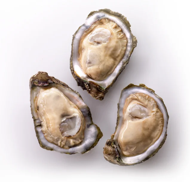 oysters1.jpg