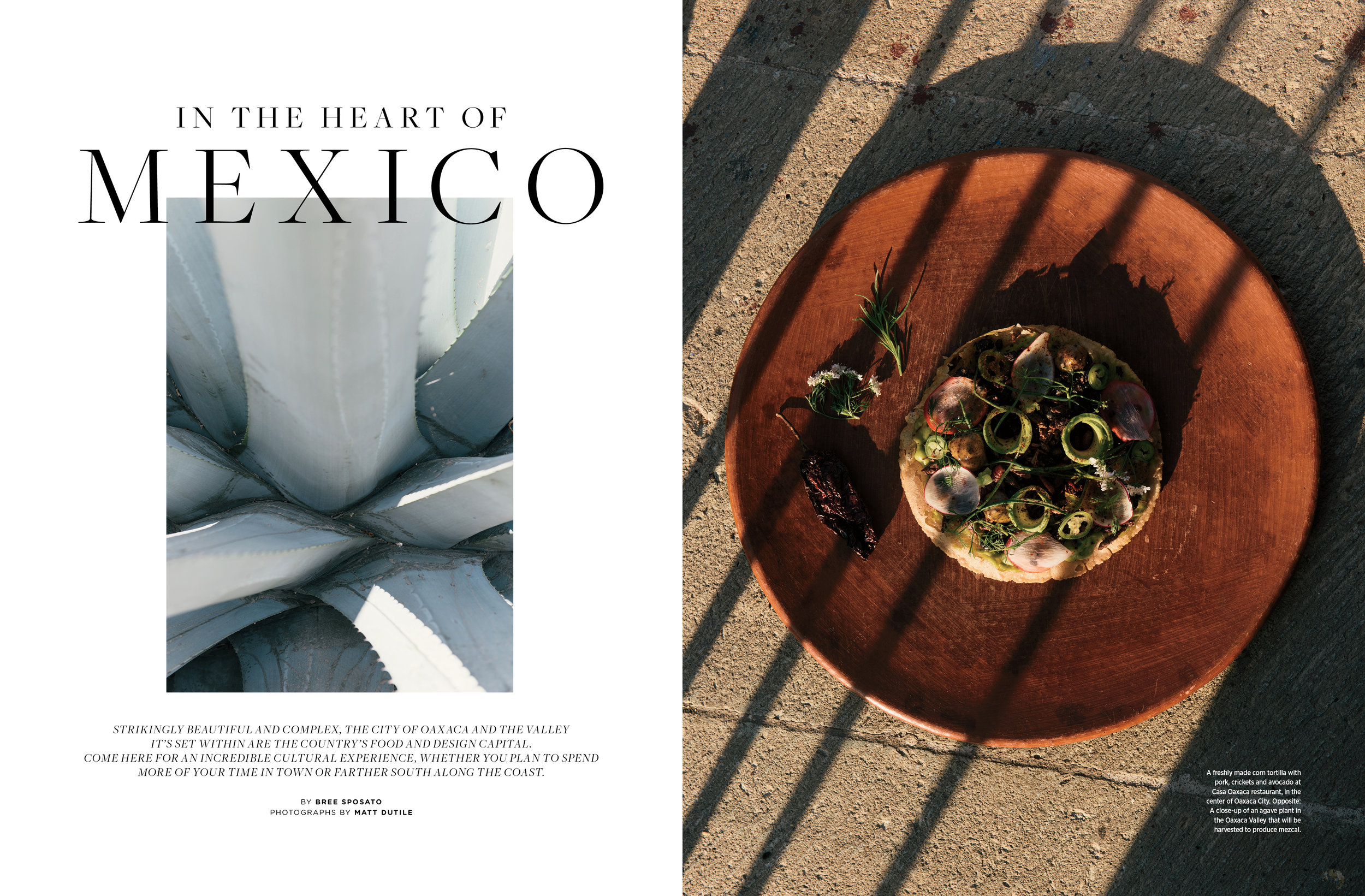 EV50_Feature_Oaxaca_1.jpg