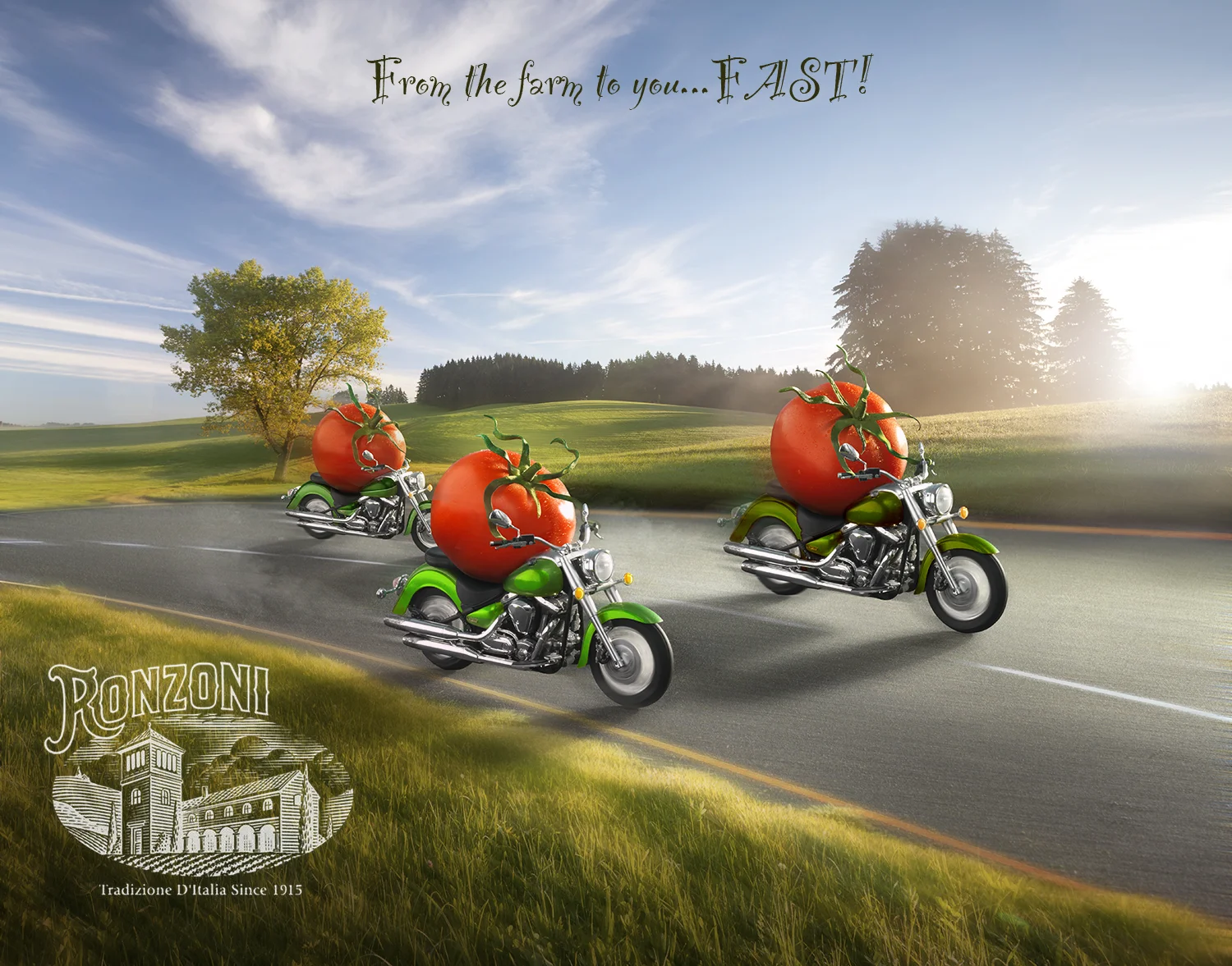 tomatoes with copy.jpg