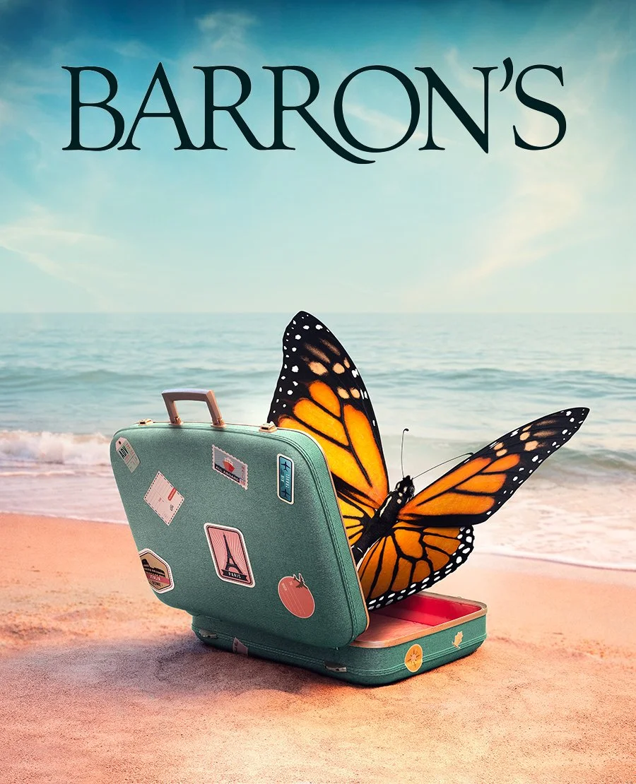 butterfly suitcase (low res 2).jpg