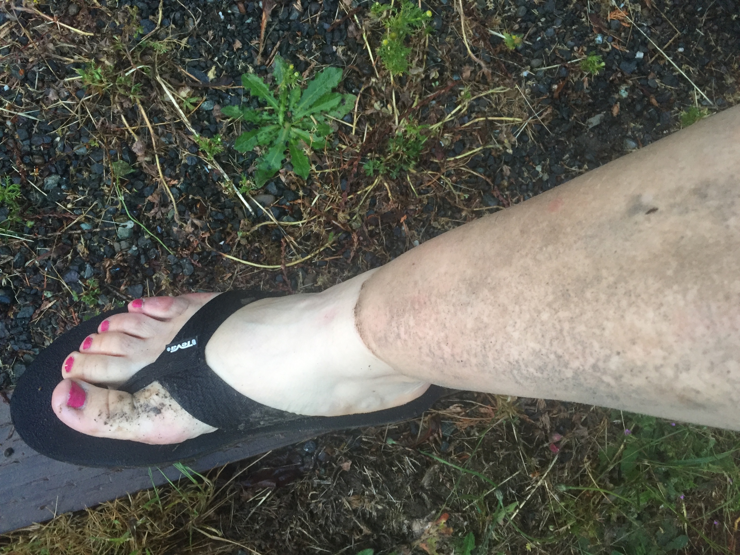 Dirt tan