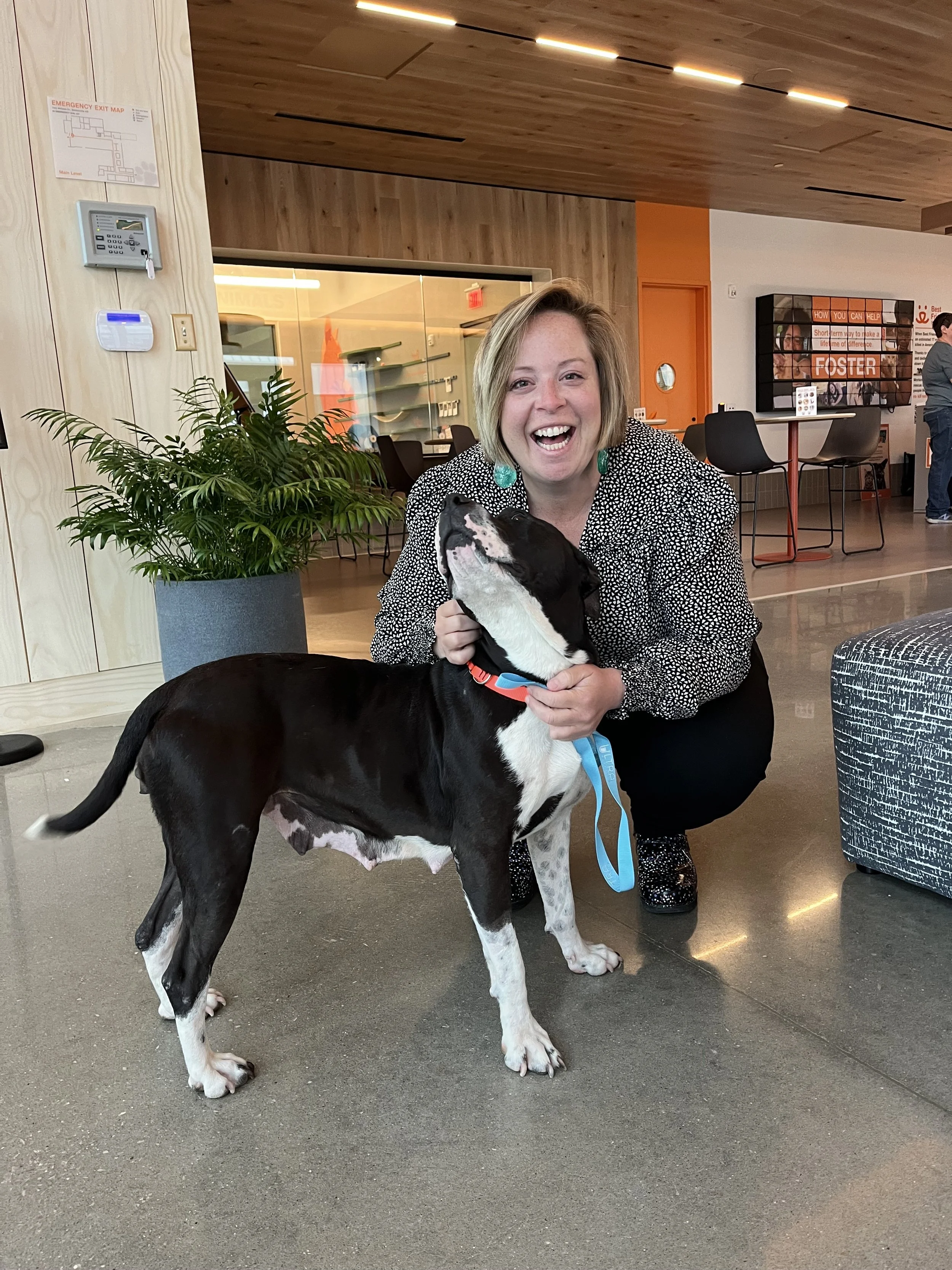 Rescuing Bunny: A Journey of Healing, Hope, and Home