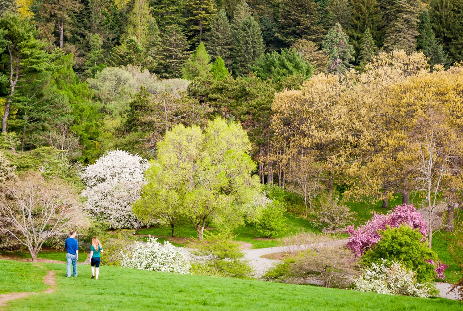 Spring Fever