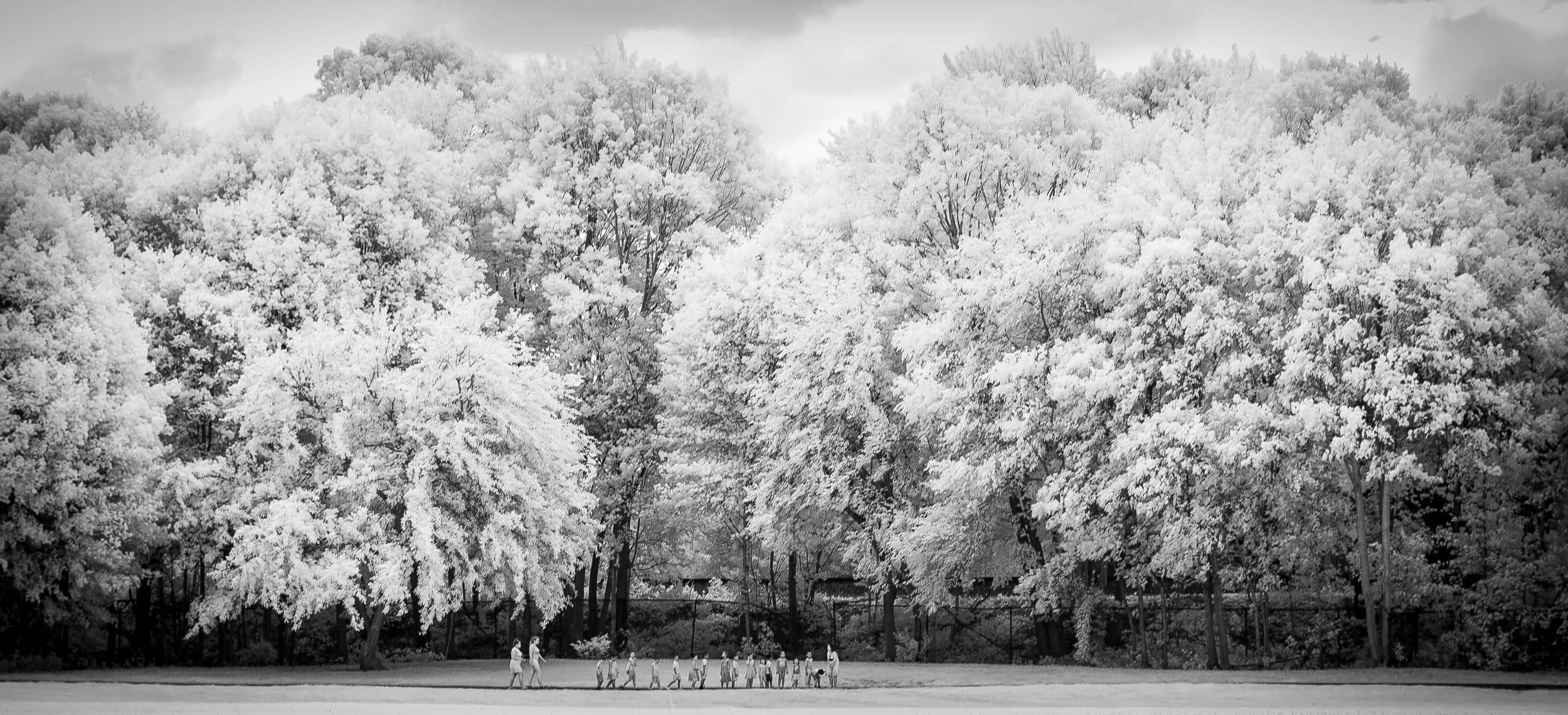 A Walk in the Park
